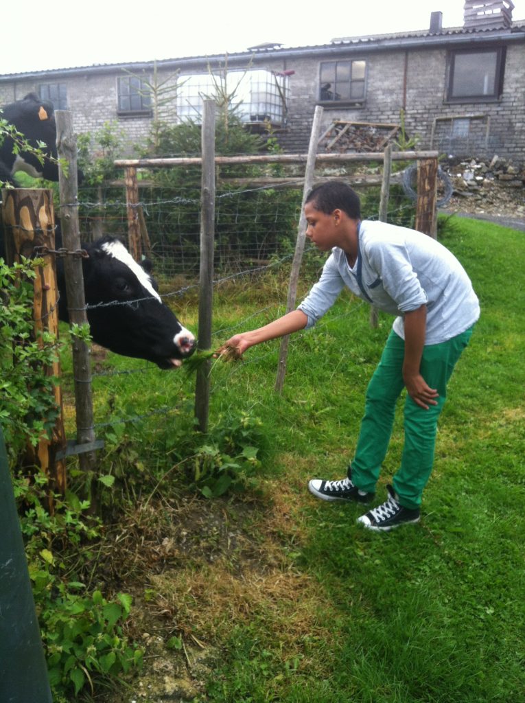Balades dans le village à Butgenbach (Belgique)
